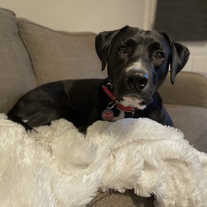 Fundraising Page: Kayla Asistido